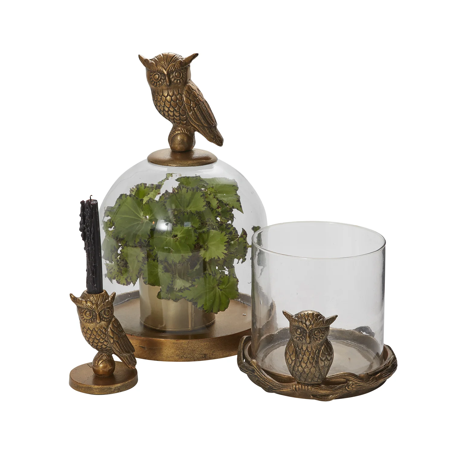 Strix Collection Set of 2 By Accent Decor - Image 4