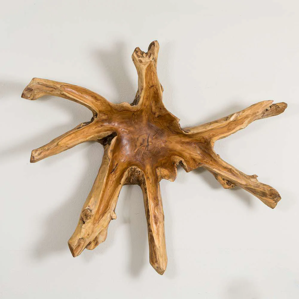 Teak Root Wall Decor - Spider Set of 2 By Garden Age Supply