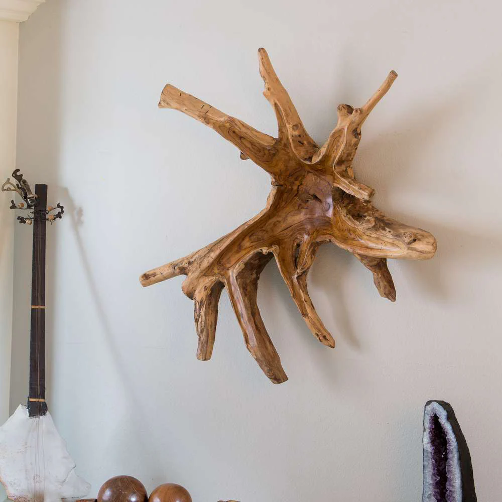 Teak Root Wall Decor - Spider Set of 2 By Garden Age Supply - Image 3