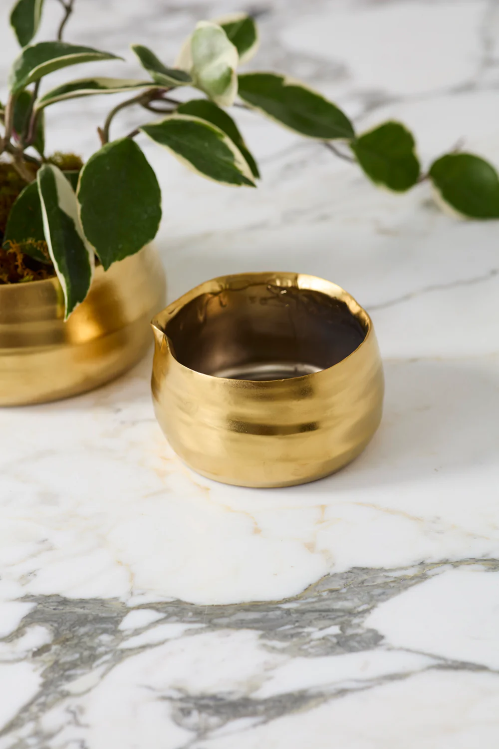 Tegan Bowl Set of 8 By Accent Decor - Image 10
