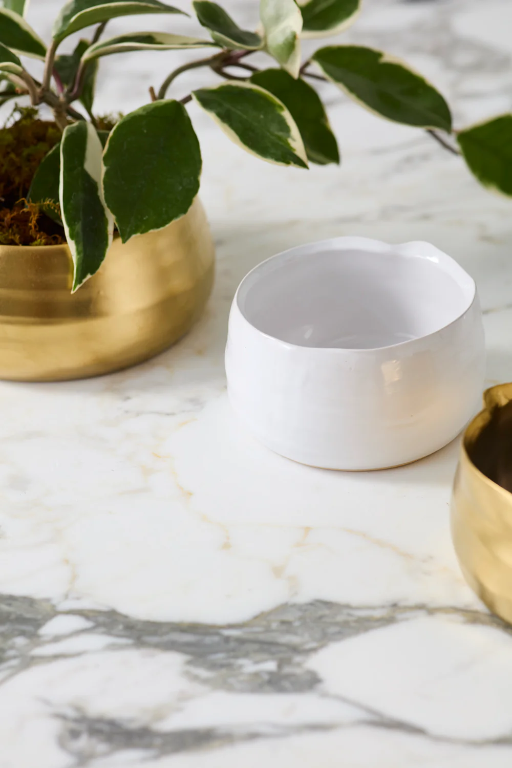 Tegan Bowl Set of 8 By Accent Decor - Image 18