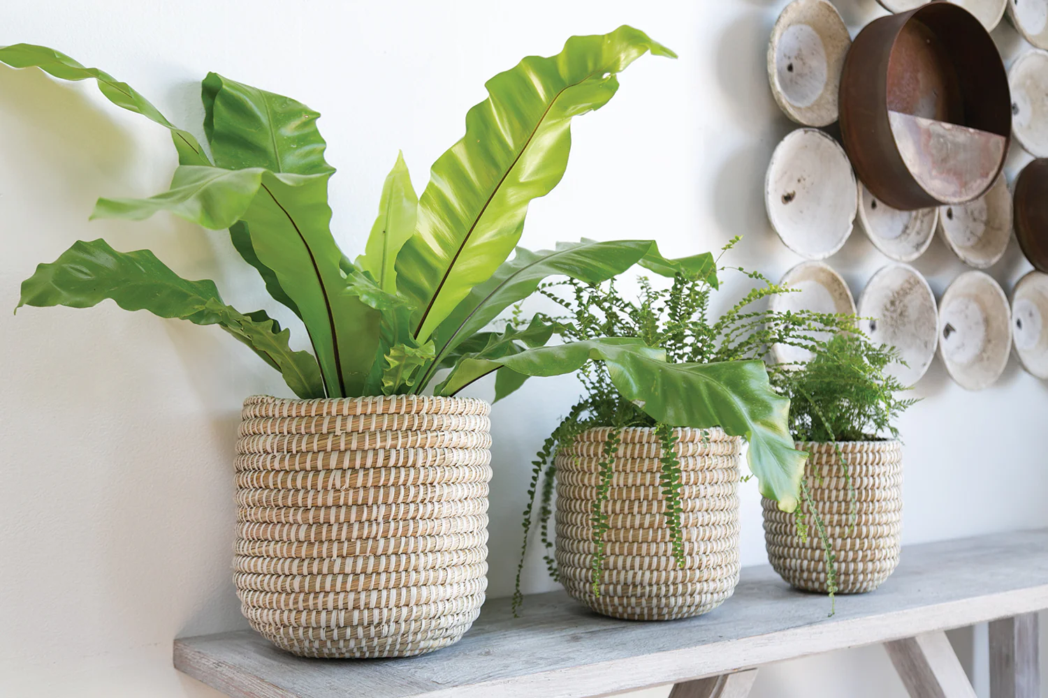 Tejida Basket Set of 4 By Accent Decor - Image 14