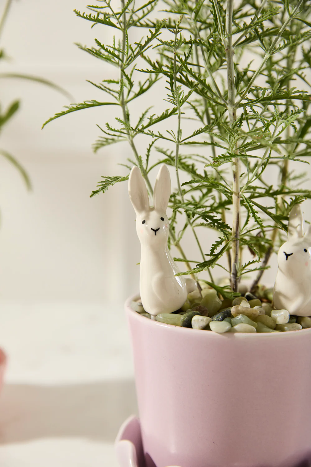 Thumper Plant Sticks - Set of 6 By Accent Decor - Image 4
