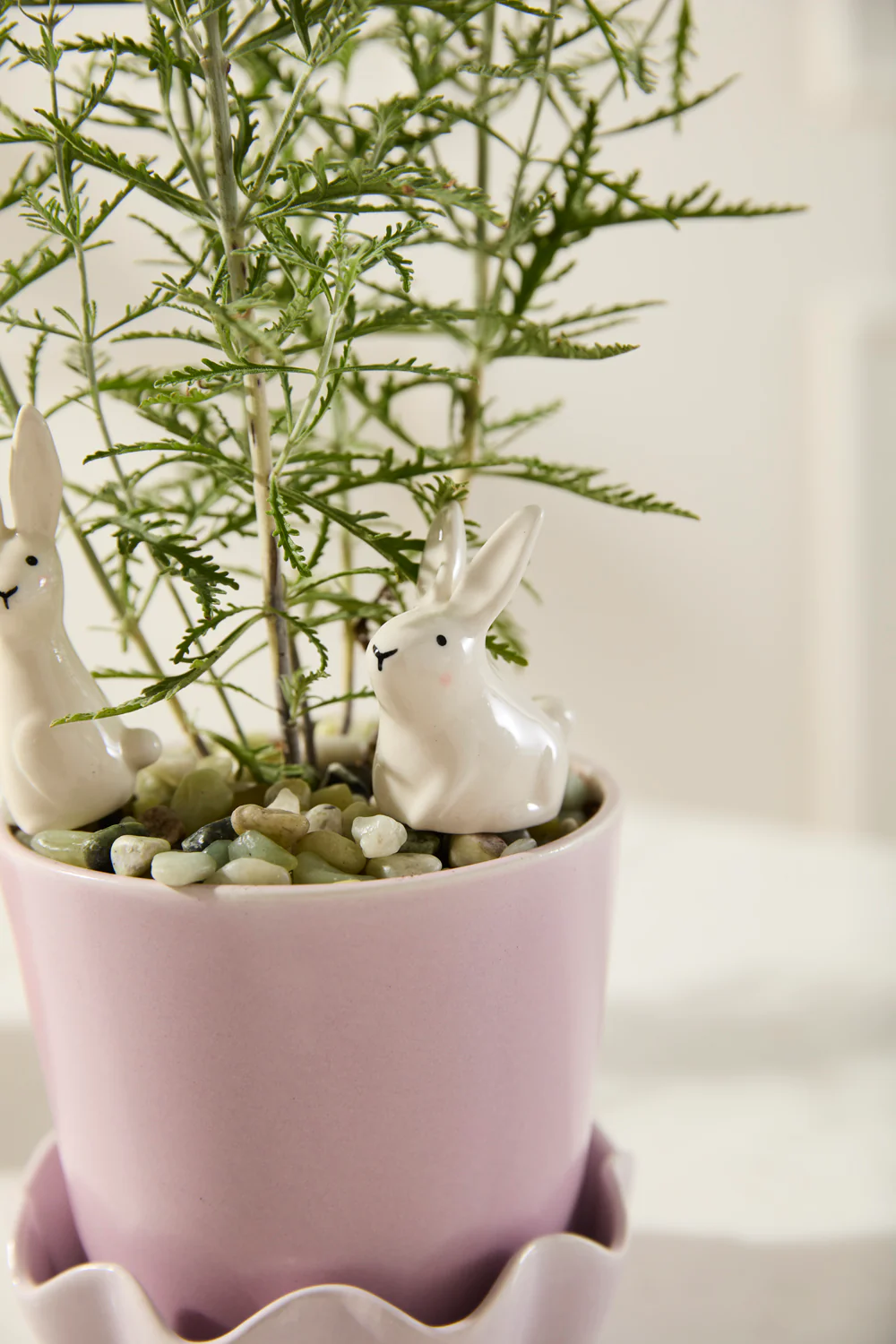 Thumper Plant Sticks - Set of 6 By Accent Decor - Image 5