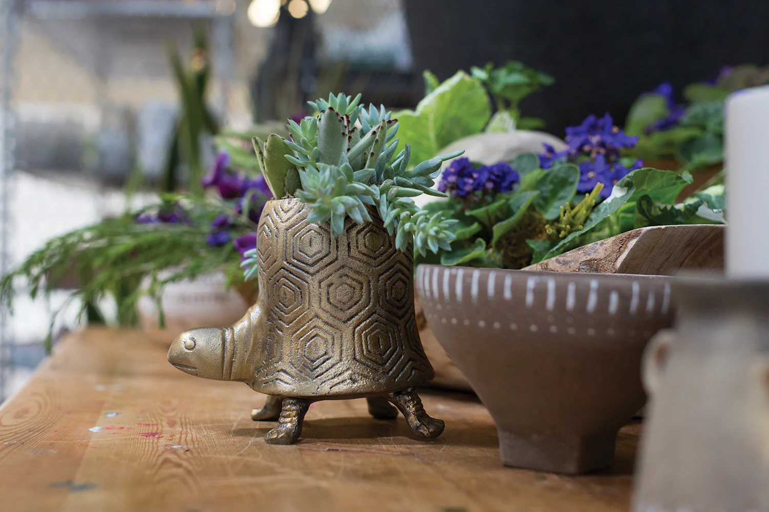 Tommie Turtle Pot Set of 2 By Accent Decor - Image 11