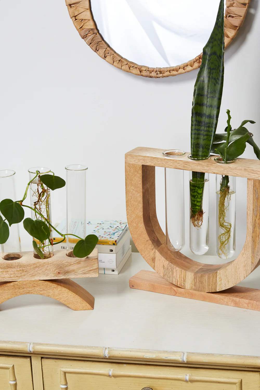 Torrey Propagation Stand By Accent Decor