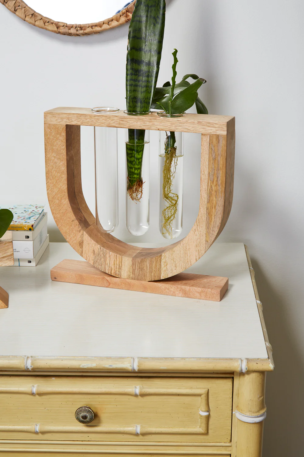 Torrey Propagation Stand By Accent Decor - Image 6