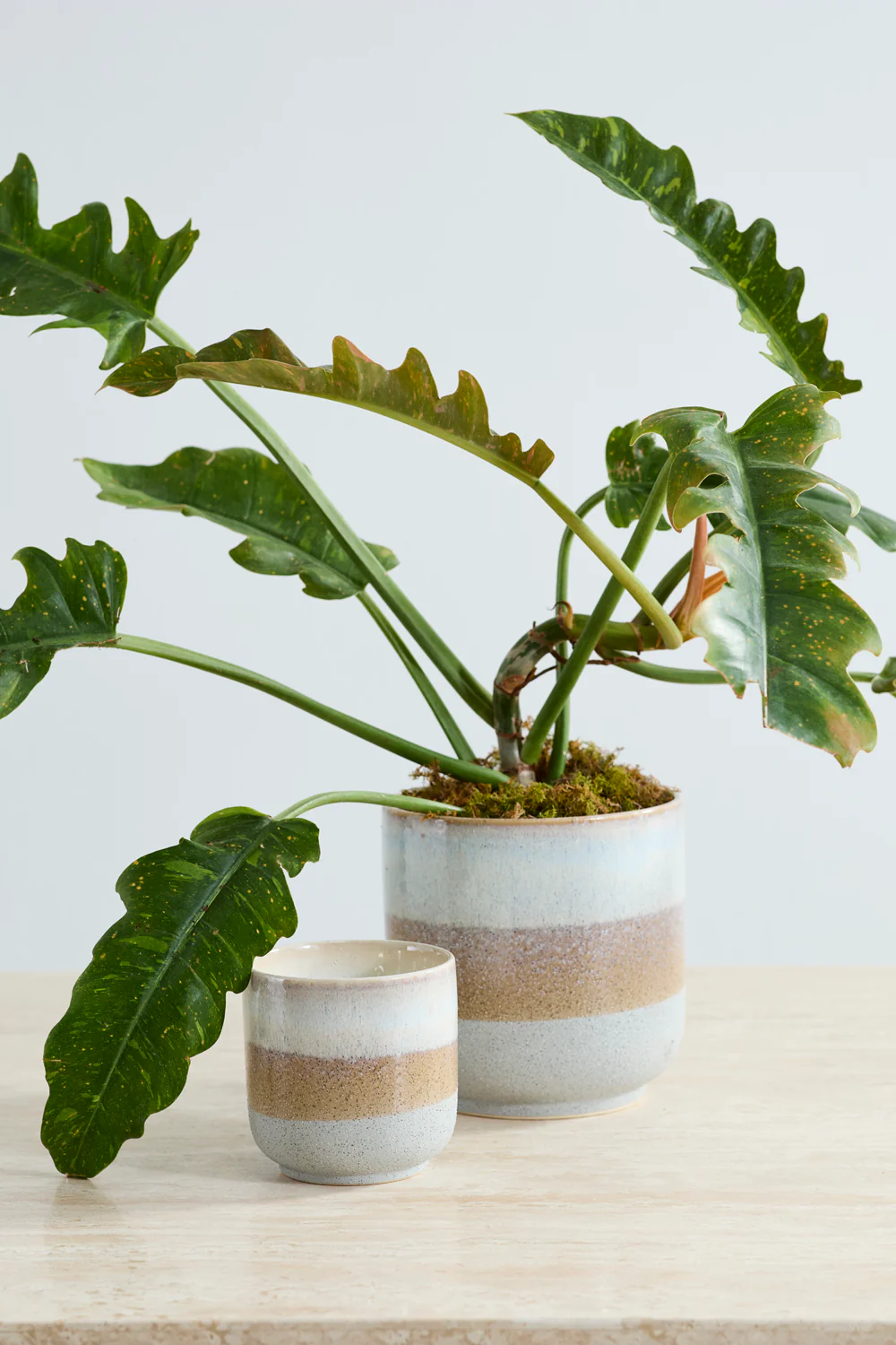 Tremaine Pot Set of 8 By Accent Decor - Image 3