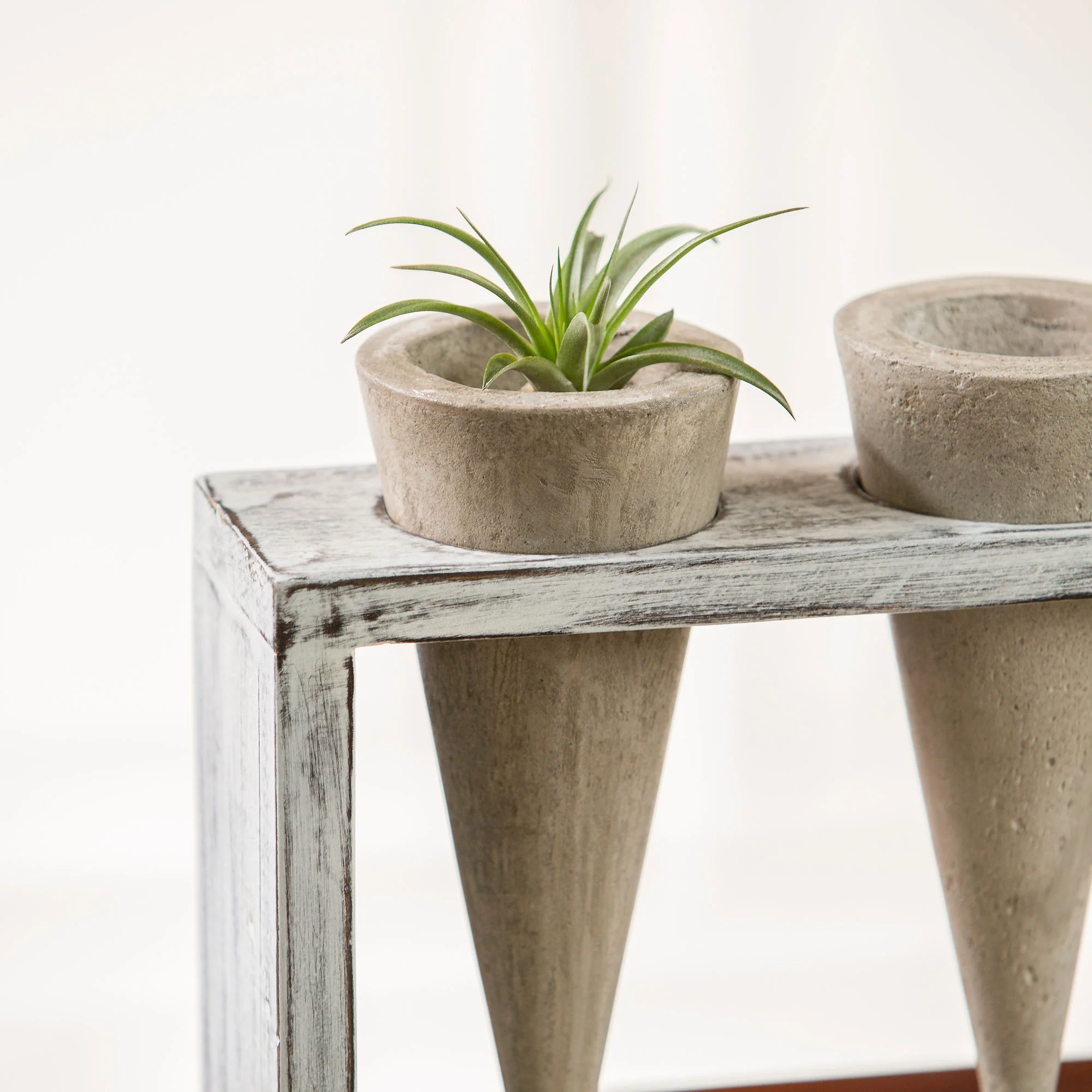 Trio Succulent Cones Set of 4 By Garden Age Supply - Image 3
