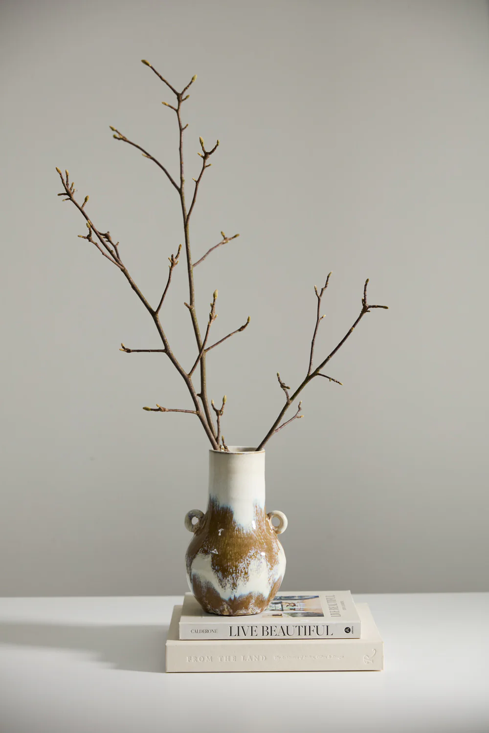 Ulysses Vase Set of 2 By Accent Decor - Image 3