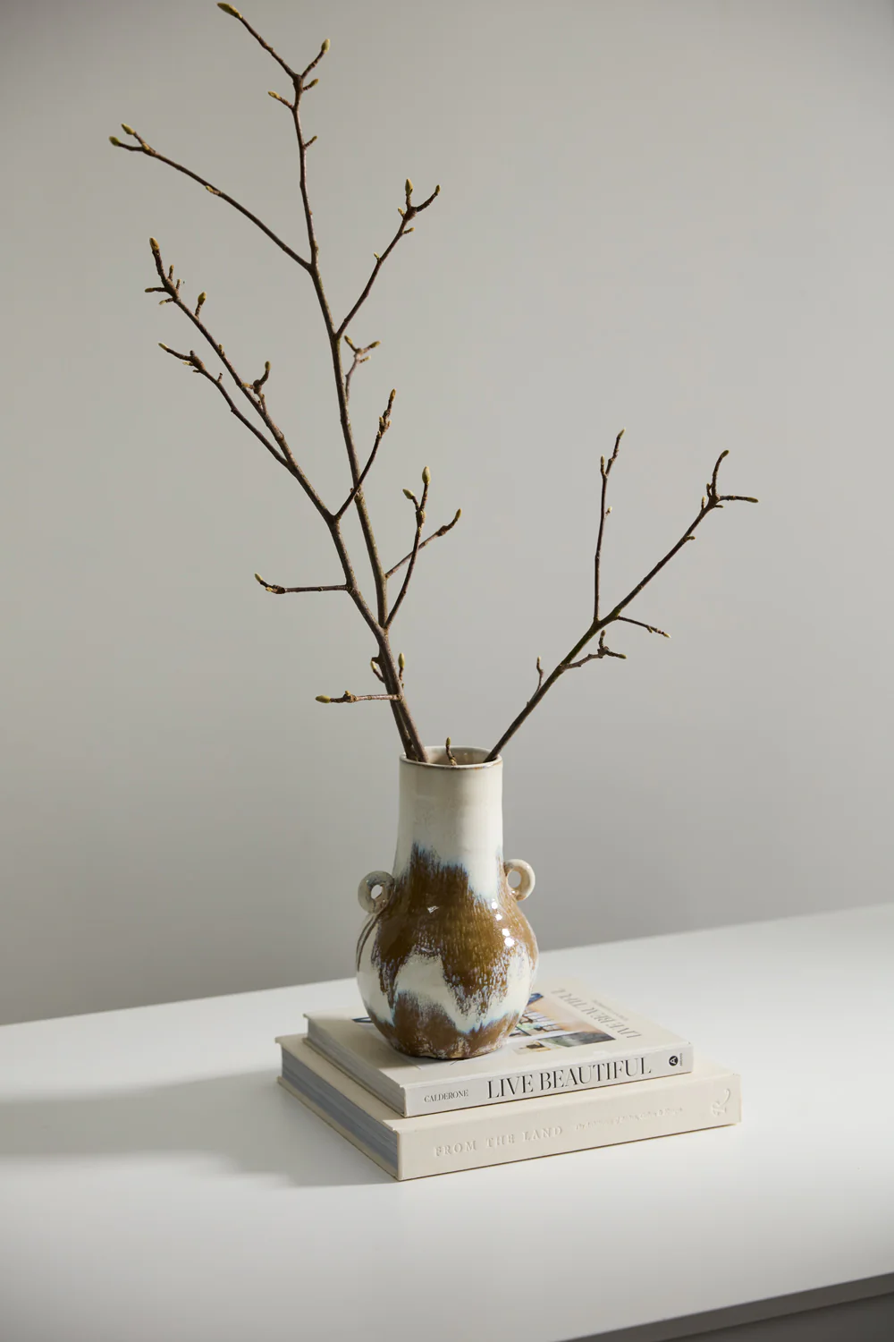 Ulysses Vase Set of 2 By Accent Decor - Image 4