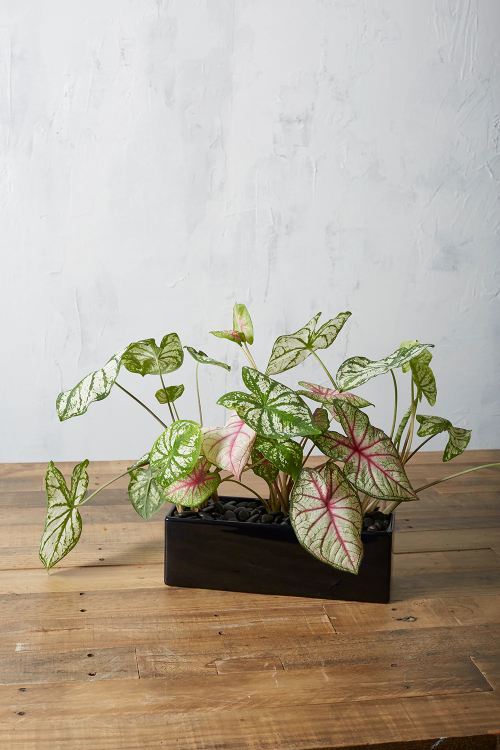 Urban Planter Set of 4 By Accent Decor - Image 20