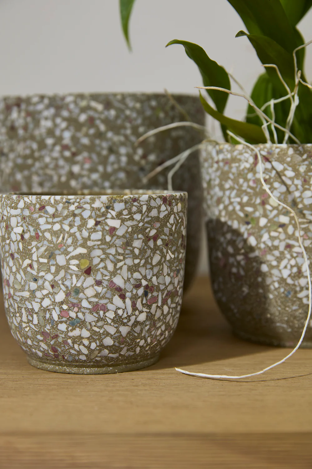 Verde Pot Set of 4 By Accent Decor