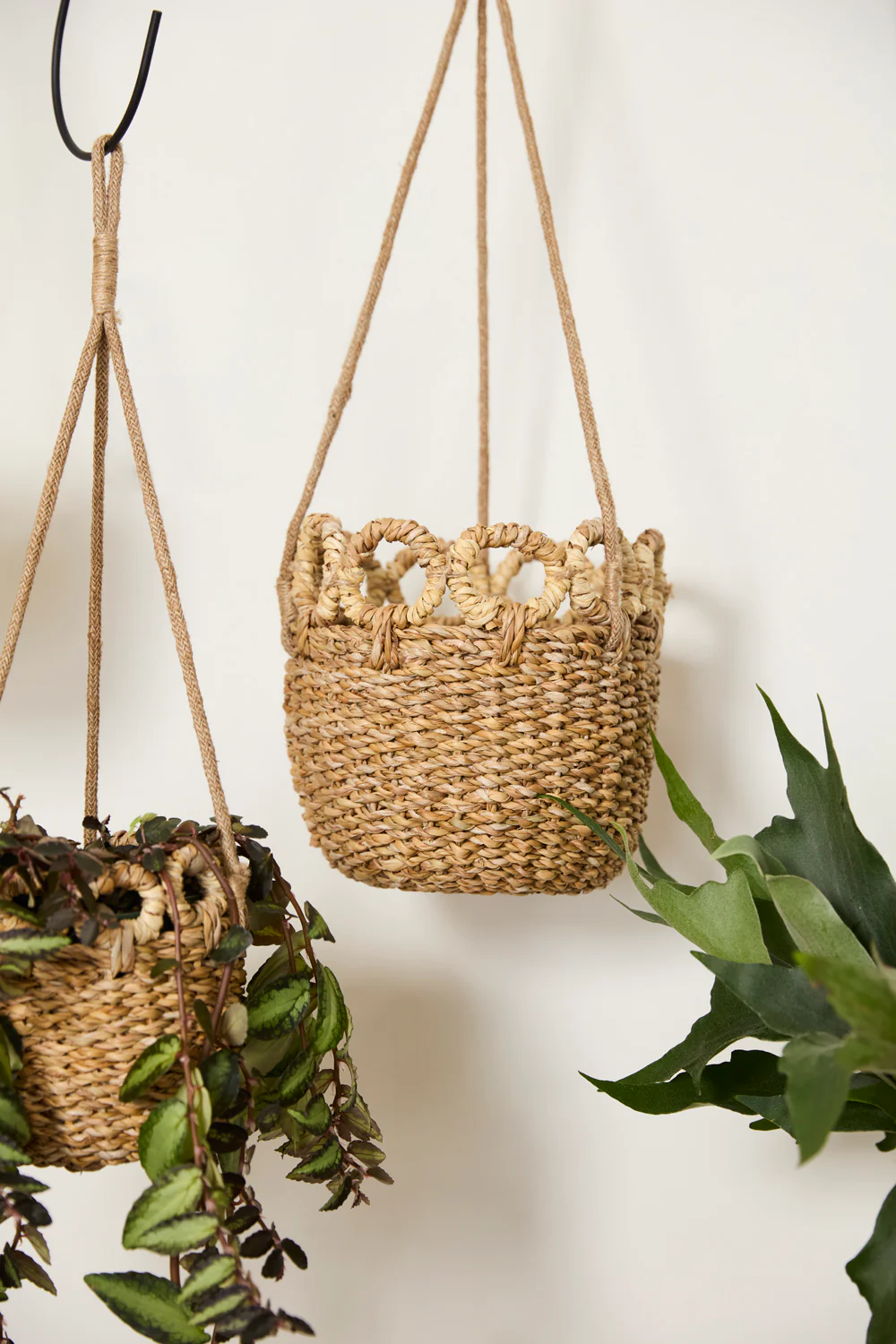Verse Hanging Basket Set of 4 By Accent Decor - Image 11
