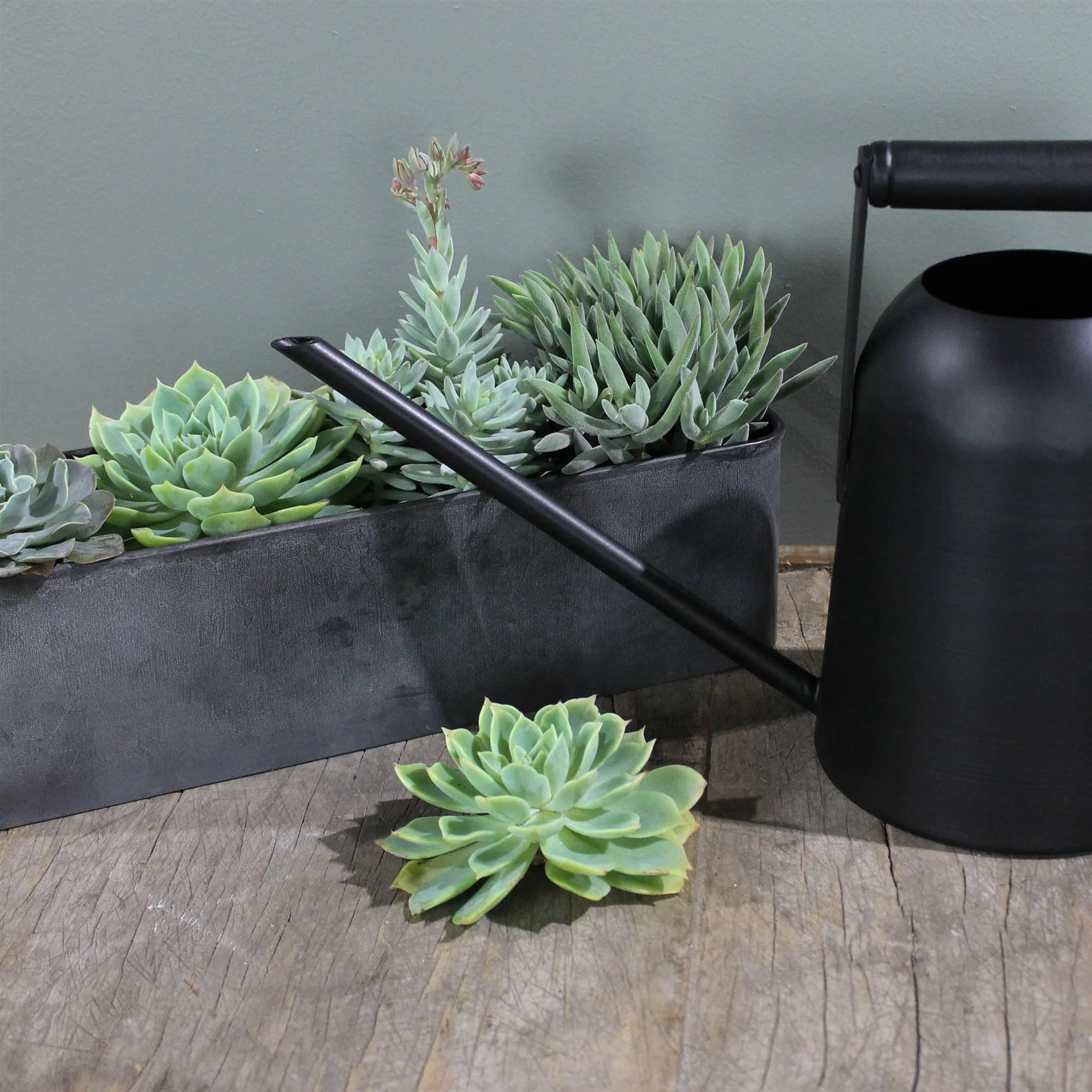 Vinca Galvanized Tray Planter - Small Set Of 2 By HomArt