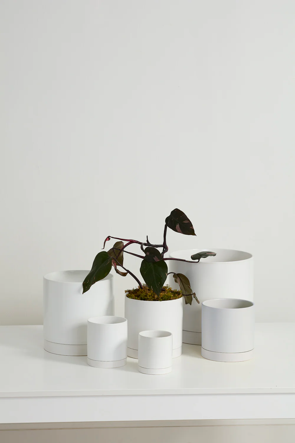 White Romey Pot By Accent Decor - Image 3