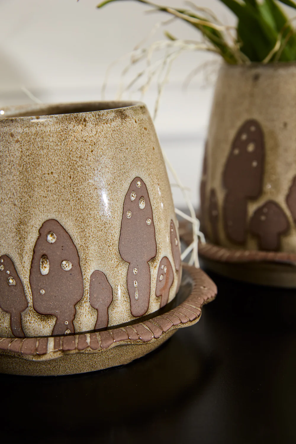 Wild Mushroom Pot with Saucer Set of 2 By Accent Decor - Image 2