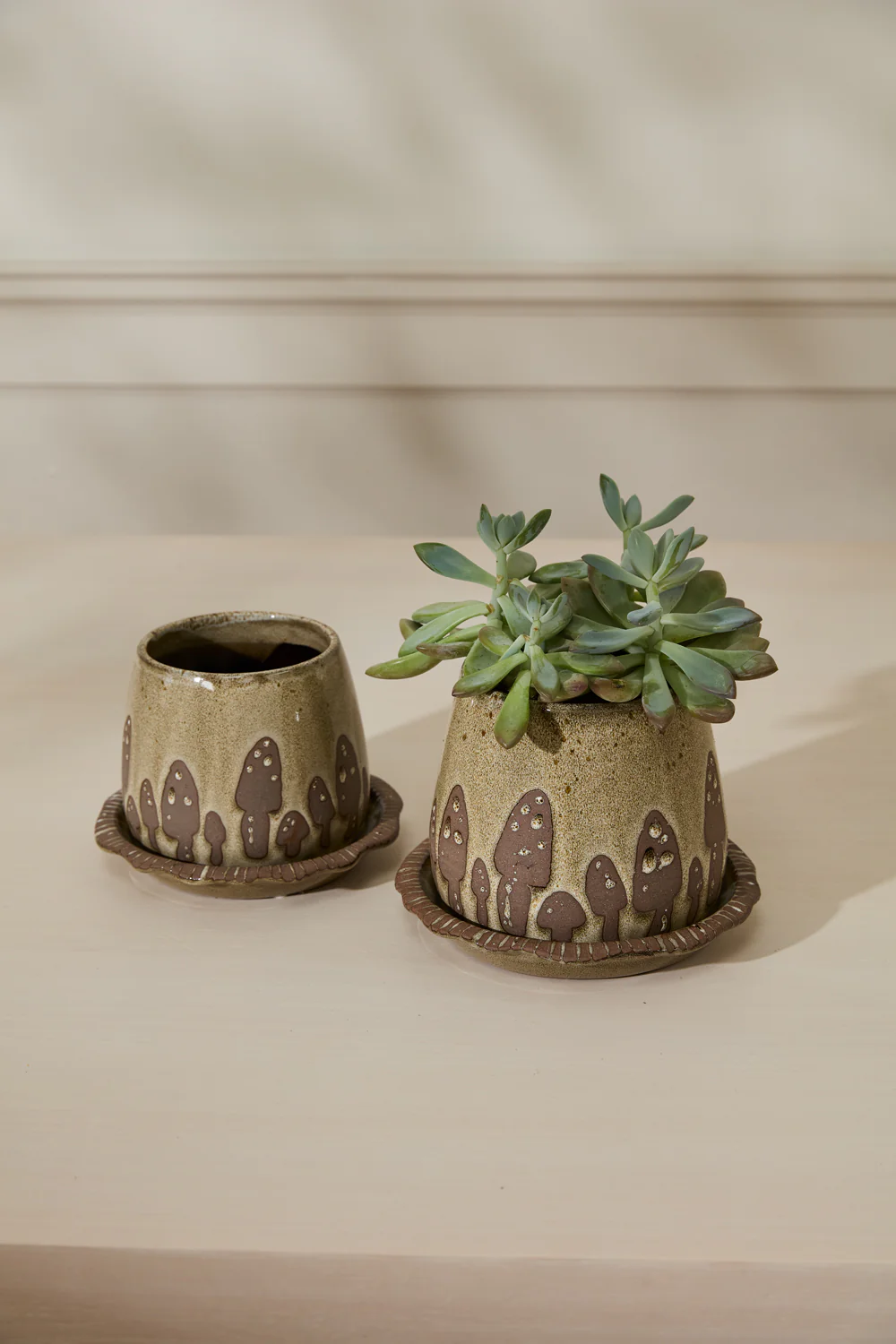 Wild Mushroom Pot with Saucer Set of 2 By Accent Decor - Image 4