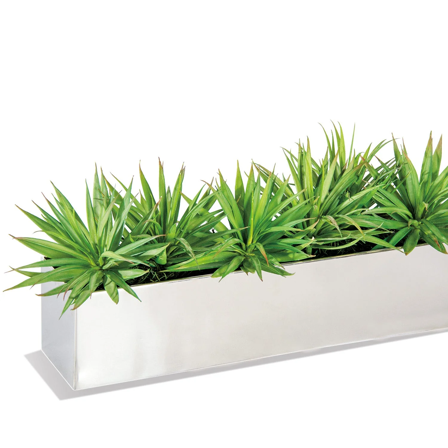 Yucca Mini 1 in Stainless Table Planter By Gold Leaf - Image 4