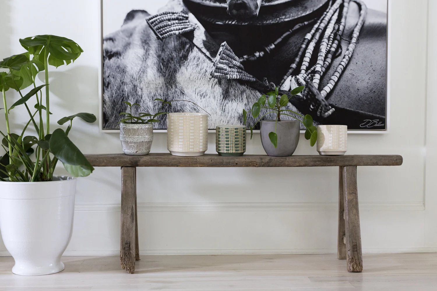 Zati Pot Set of 4 By Accent Decor - Image 4