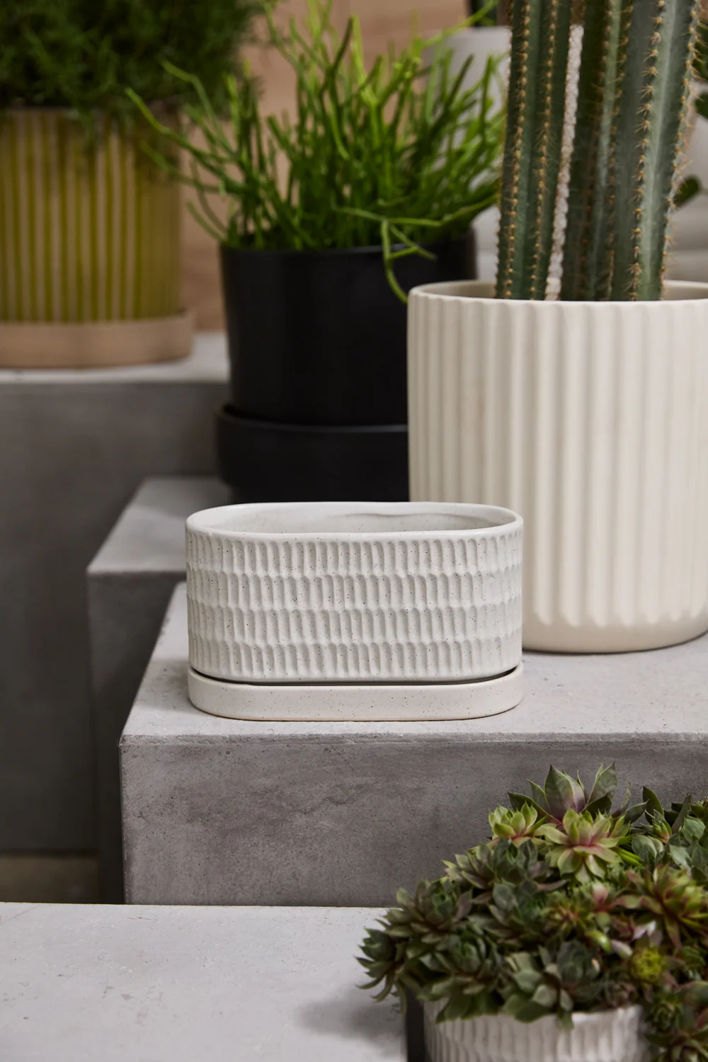 Zelle Planter with Saucer Set of 4 By Accent Decor - Image 6
