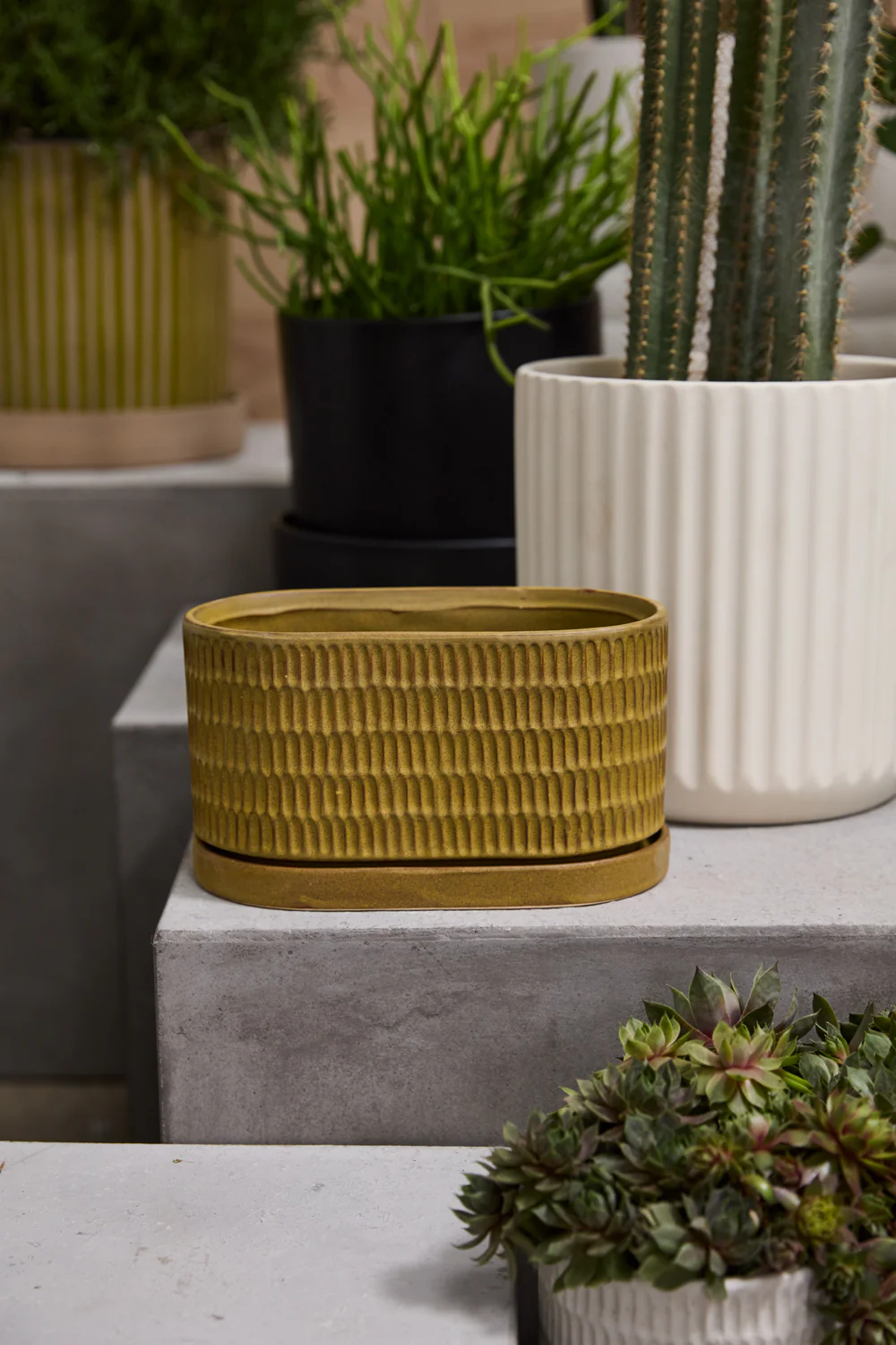 Zelle Planter with Saucer Set of 4 By Accent Decor - Image 8