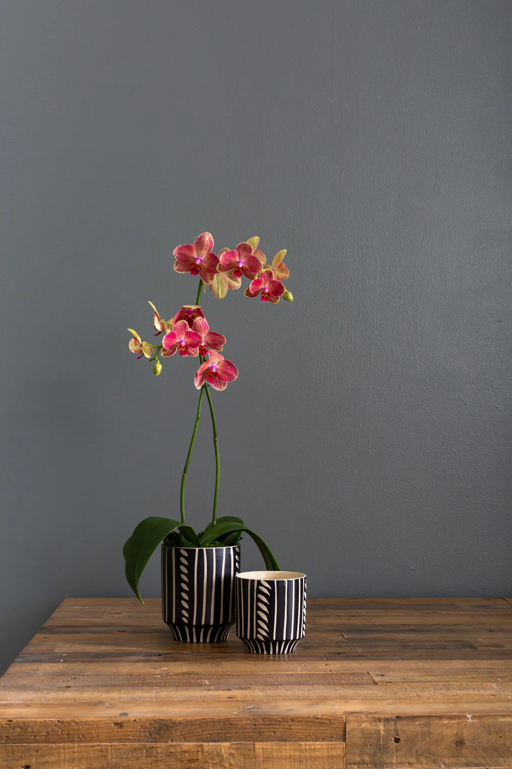 Ziva Pot Set of 4 By Accent Decor - Image 3